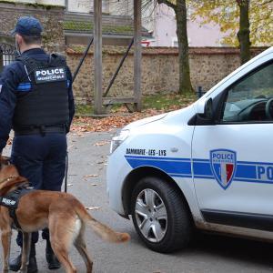 Police municipale et ASVP