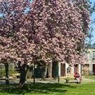 Boîtes à livres - Parc du château Soubiran