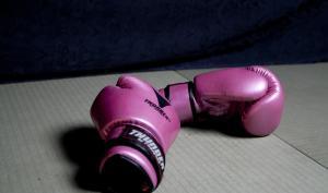 Sport de combat