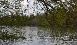 Bords de Seine