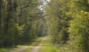 Environnement