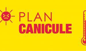Plan canicule