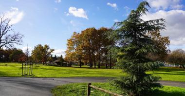 Arbres