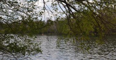 Bords de Seine