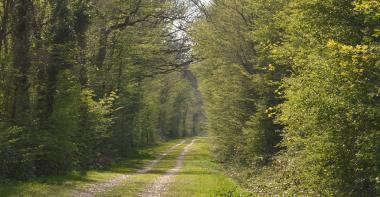 Environnement