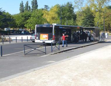 Bus