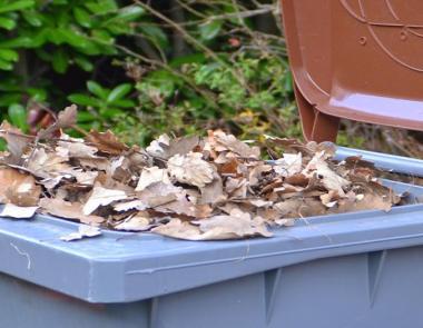 Déchets