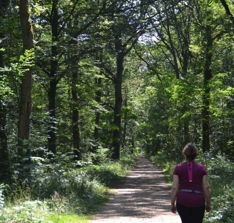 Forêt