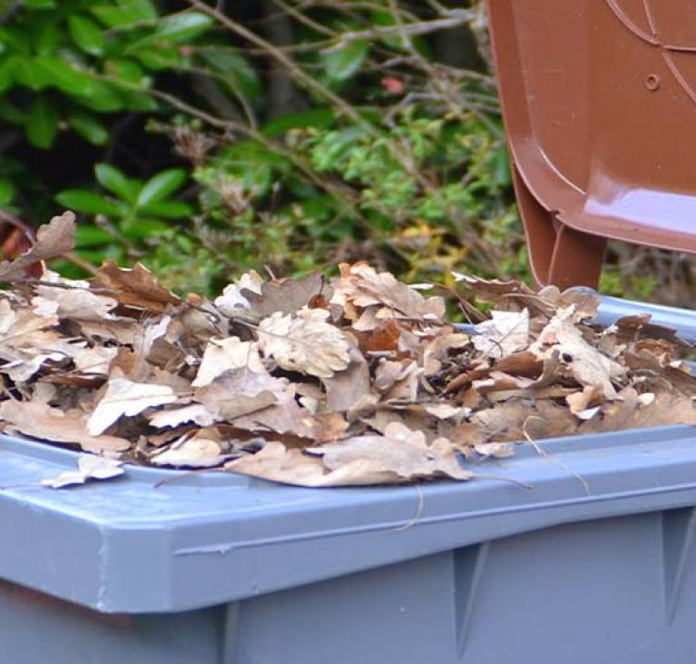 Déchets