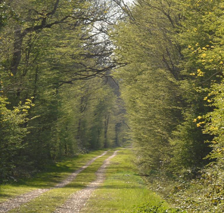 Environnement
