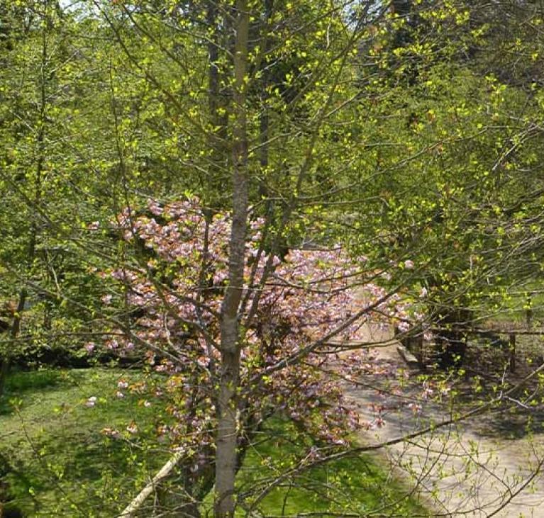 Château Soubiran