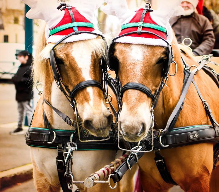 Marché de Noël